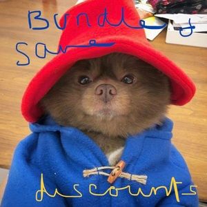 Bundle multiple items pay shipping only once
